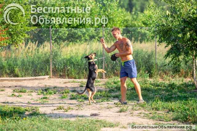 Активная красавица Ива ищет любящую семью