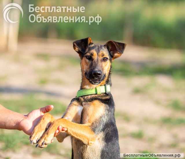 Активная красавица Ива ищет любящую семью