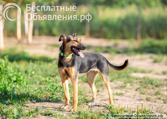 Активная красавица Ива ищет любящую семью