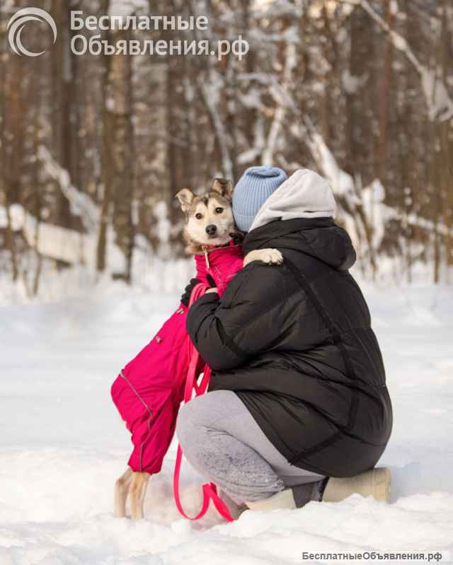 Трогательная принцесса Нала ищет свой дом