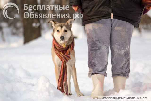 Трогательная принцесса Нала ищет свой дом