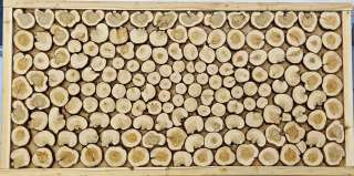 Панно из можжевельника