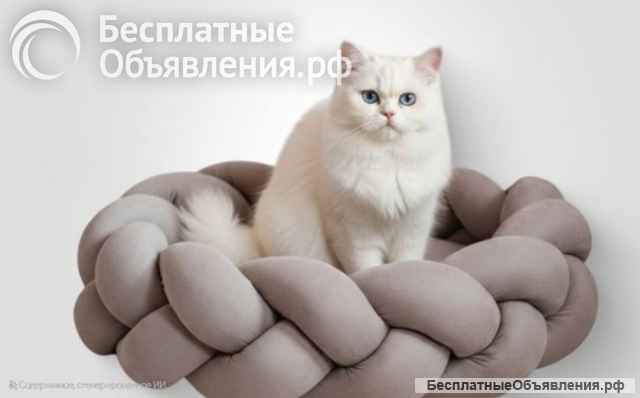 Лежанки для животных