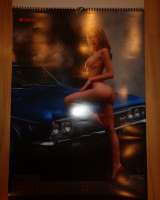 Календарь настенный на 2026 год IDECO 16 плюс