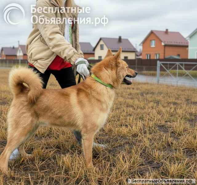 Рич ищет семью