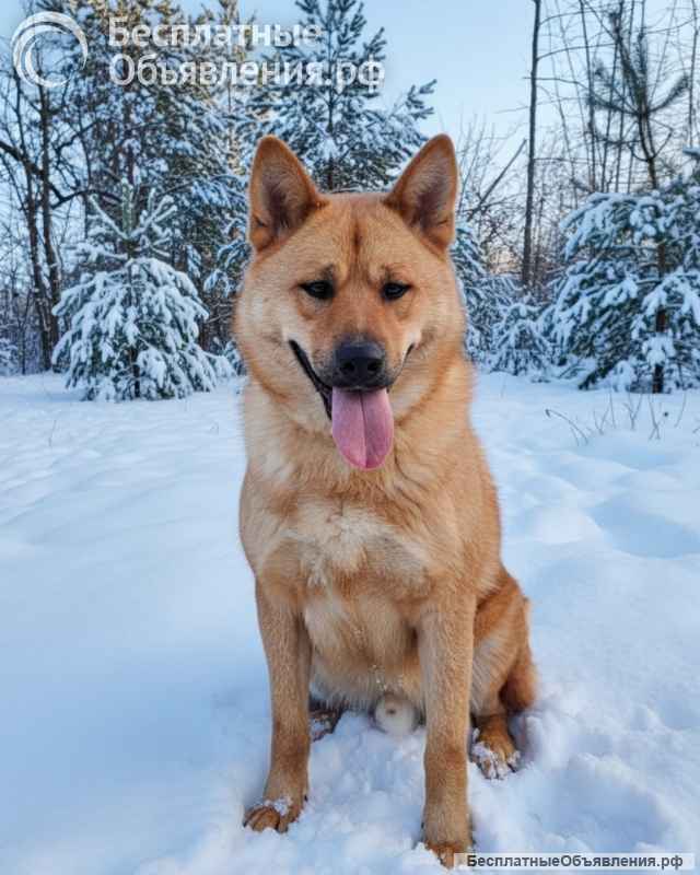 Рич ищет семью