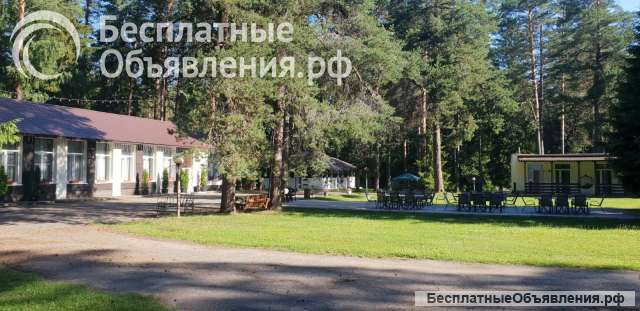 База отдыха рядом с г. Витебском
