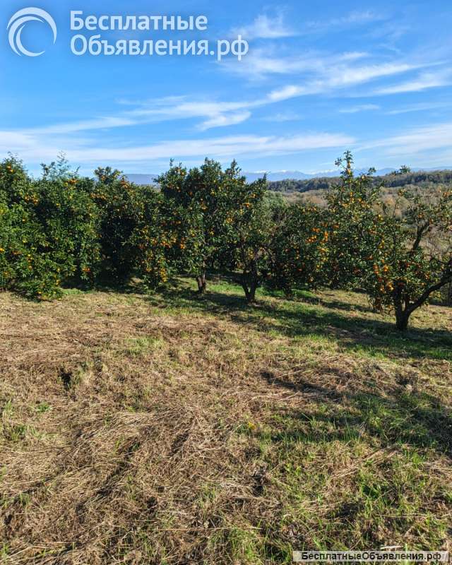 Землю 20 соток срочно