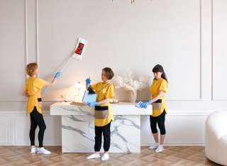 Пчёлки Cleaning Bees профессиональный клининг в Краснодаре