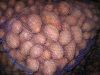 Картофель оптом от производителя