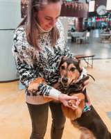 Очаровательная Молли ищет дом