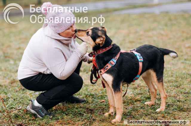 Очаровательная Молли ищет дом