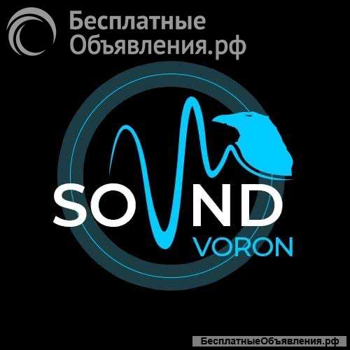 Ремонт автомобильных усилителей до 10 кВт