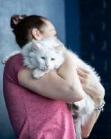 Белоснежный красавец, домашний котик Ченя ищет дом