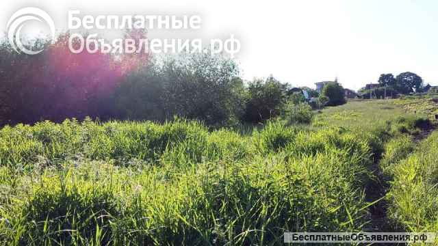 Участок 5.96 сотки Покровская Гатчина 1 800 000 руб. газ и свет по границе