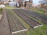 Шифер для грядок