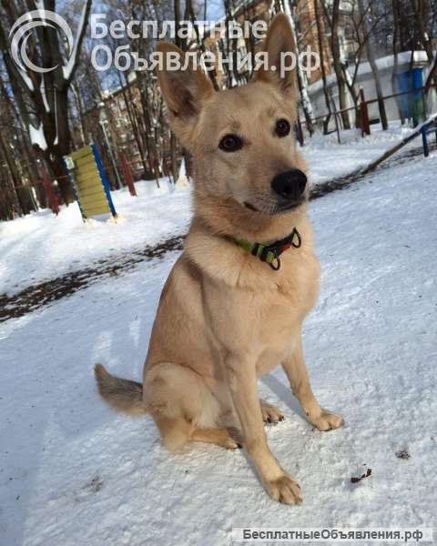 Мила, самое милое и потрясающее создание