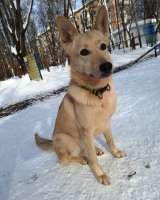 Мила, самое милое и потрясающее создание