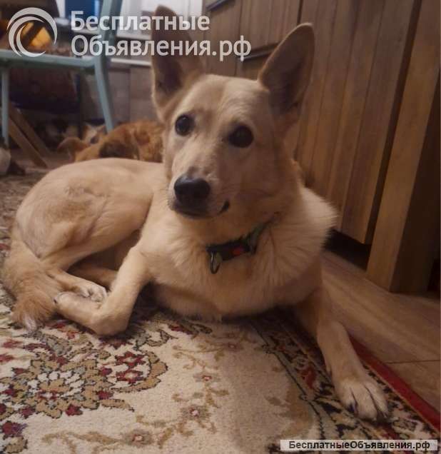 Мила, самое милое и потрясающее создание