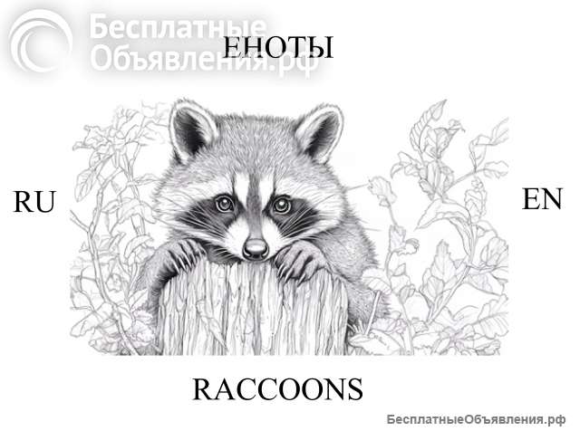 Еноты на английском и русском языках
