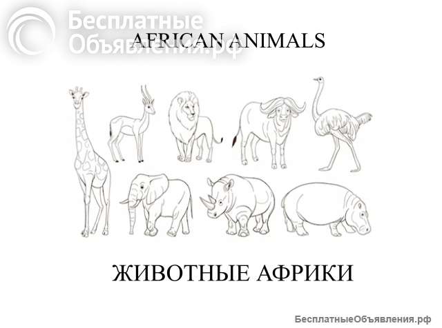 Африканские животные, на английском и русском языках, для детей и взрослых
