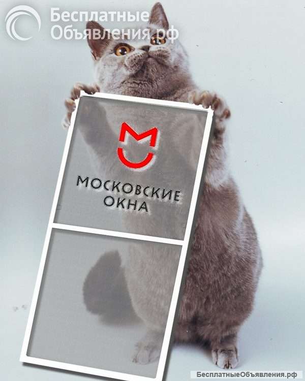 Москитные сетки - ремонт, изготовление