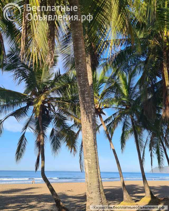 Ищем партнёров в онлайн-проект в сфере международного туризма