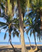 Ищем партнёров в онлайн-проект в сфере международного туризма