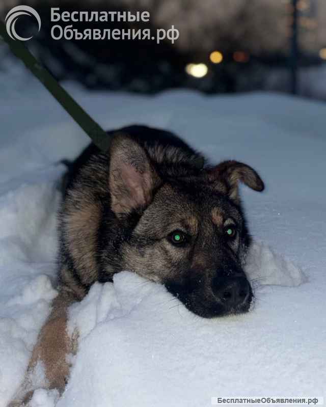 Ласковая девочка Алиса ищет своих родителей