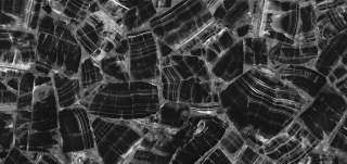 От благородного мрамора до выразительного гранита- инновационные интерьерные покрытия от «LiveKamen»