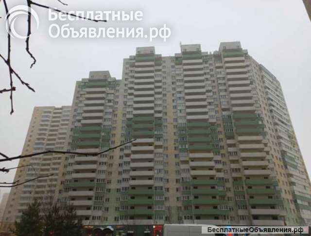 Квартира 32,3 кв.м в п. Шушары