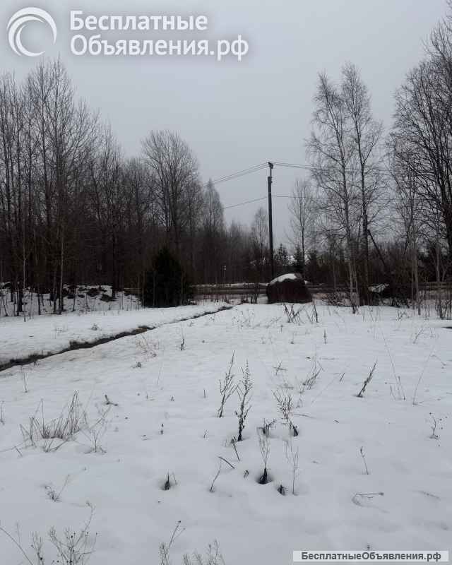 Земельный участок 12.5 сот, в п. Пальцево