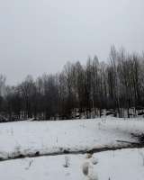 Земельный участок 12.5 сот, в п. Пальцево