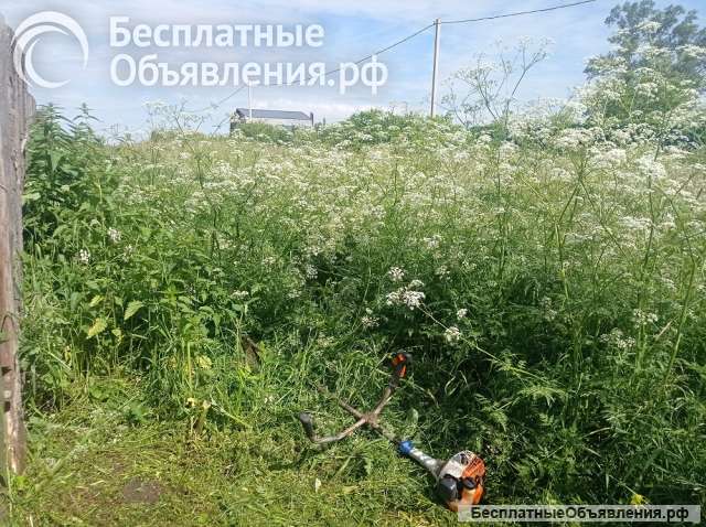 Покос травы