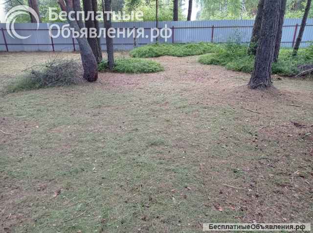 Покос травы