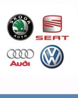 Адаптации кодирования, прошивки Vag