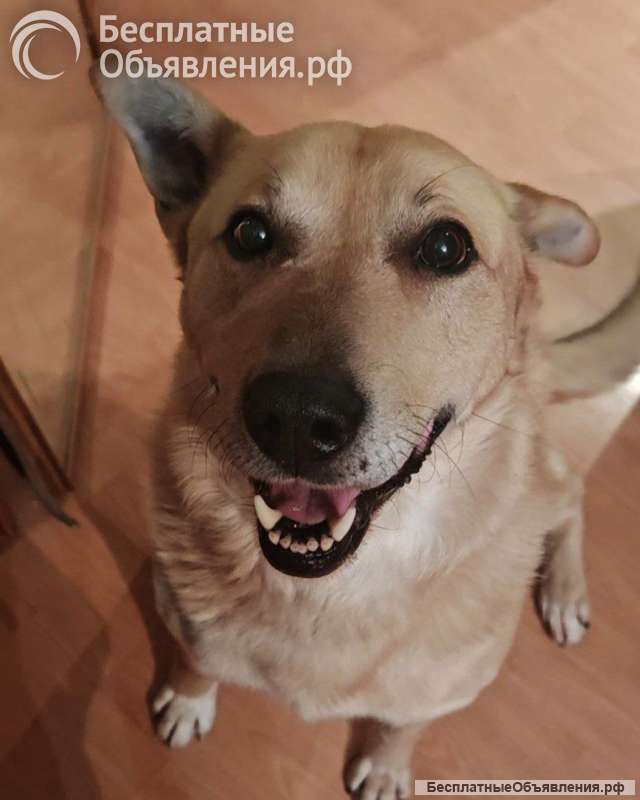 Лапус - самый ласковый и добрый