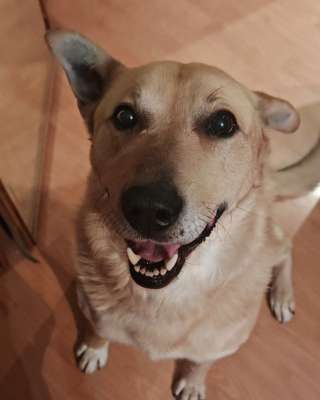 Лапус - самый ласковый и добрый