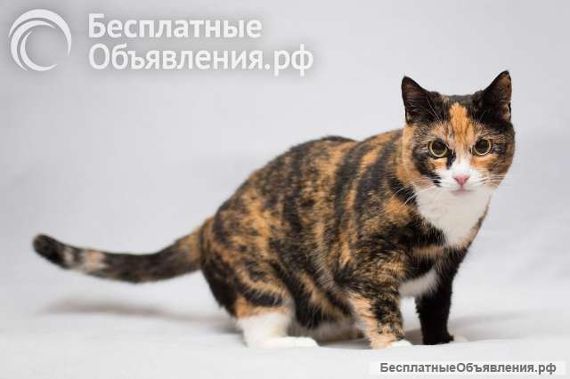 Шикарная Ульяна ищет дом