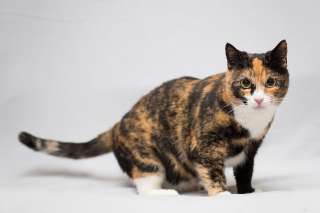 Шикарная Ульяна ищет дом