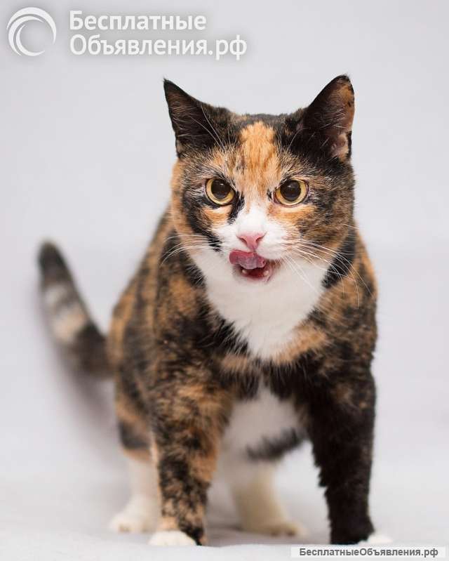 Шикарная Ульяна ищет дом