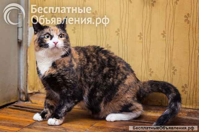 Шикарная Ульяна ищет дом