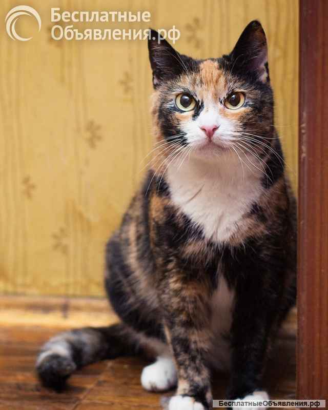 Шикарная Ульяна ищет дом