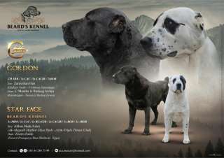 Среднеазиатская овчарка щенки