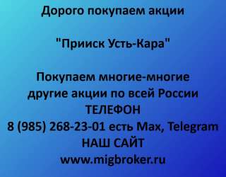 Покупаем акции Прииск Усть-Кара: честная цена и никаких комиссий