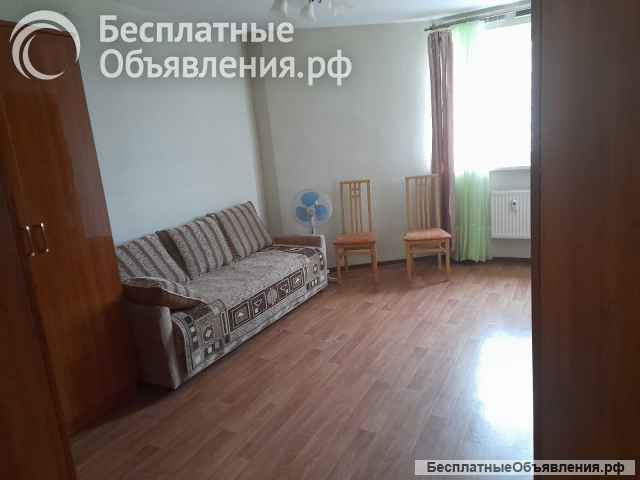 Сдаю 1 комнатную квартиру
