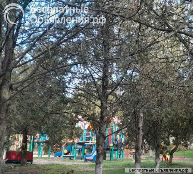 Комната в Севастополе (Костычева)