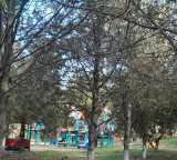 Комната в Севастополе (Костычева)