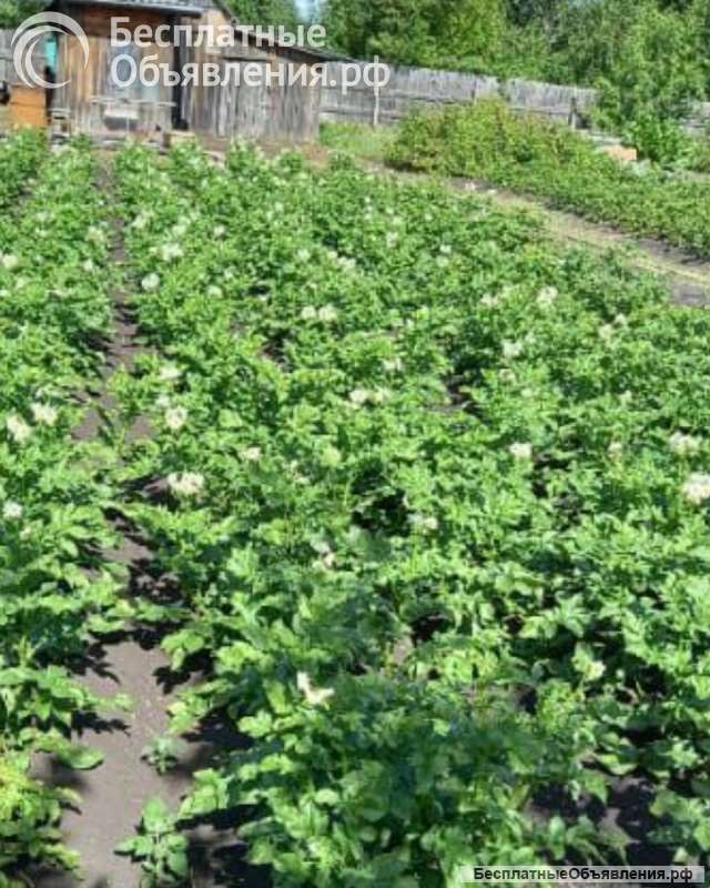 Земельный участок