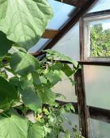 Земельный участок